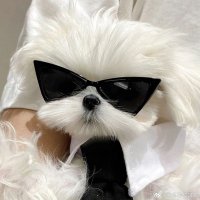 찡낑 (@zzingiruby1) 's Twitter Profile