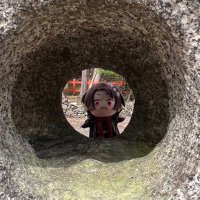 かな助🌹 (@gatto__nero15) 's Twitter Profile