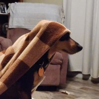 Tim (@geocentrictim) 's Twitter Profile