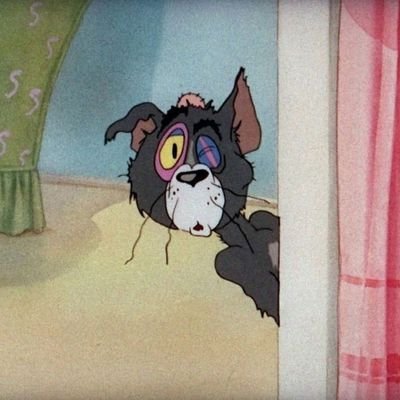 fuckyoussa00st's profile picture. jancok