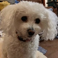 🌹🦋🇺🇸Michele🇺🇸🦋🌹 (@majmo50) 's Twitter Profile Photo 🌹🦋🇺🇸Michele🇺🇸🦋🌹 (@majmo50) 's Twitter Profile Photo