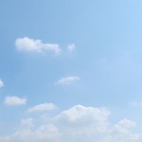 hmm@プロカ必読 (@8gm2m6) 's Twitter Profile