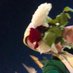 Alali🇵🇸 (@aloll11a) Twitter profile photo Alali🇵🇸 (@aloll11a) Twitter profile photo