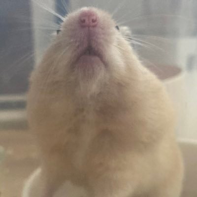 ameon38419's profile picture. 30代主婦👩🏻5ヶ月👶❤懸賞🎁コスメ💄美容🍓スポーツ観戦⚽🏀無言フォロー失礼します🙇‍♀ 当選報告は必ずさせていただきます😊