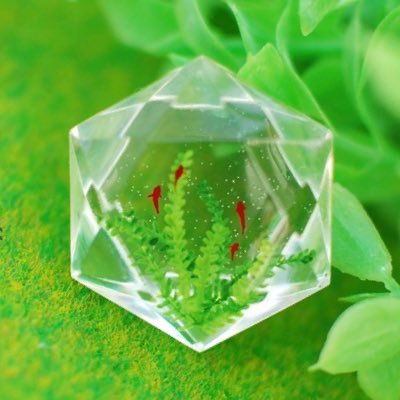 あきのぶ🌱四季彩堂さんのプロフィール画像