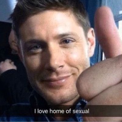 any pronouns (he/him pref)

destiel canon (im actually dean so I know)