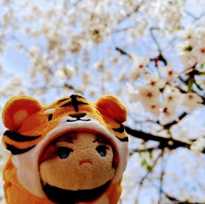 榊ゆう🍛👓🍵@幸せな日常さんのプロフィール画像