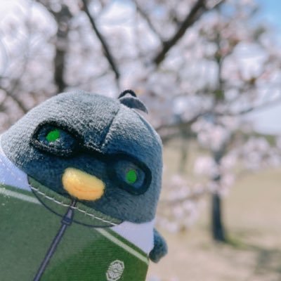紫呉さんのプロフィール画像