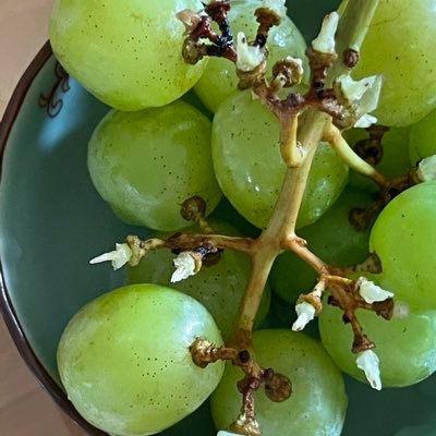 uwaxaaa's profile picture. ...むむむ