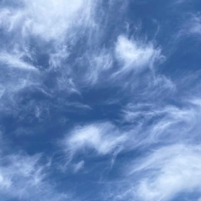 a_ma_ri_a_ma_ri's profile picture. アメブロのすみっこで好きなことを気ままに書いてます。Twitter（X）勉強中です。なかなか使いこなせません。一人暮らしの大学生と高校生、男子2人の母。/君とゆきて咲く/君ゆき