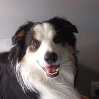 TheCoder (@thecoderisback) 's Twitter Profile