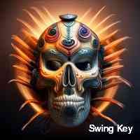 swingkeyy's profile picture. Web3 builder | not an influencer | nft & crypto maxi | bayc mayc holder