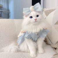 𝑟𝑒𝑛𝑎 (@rnrm_401304) 's Twitter Profile