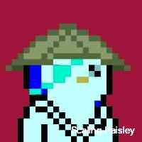 scalingpaiisle's profile picture. I’m back !