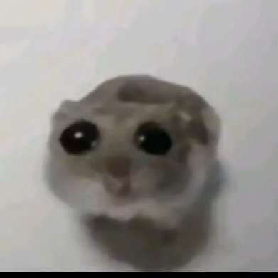 Nadie jajaさんのプロフィール画像