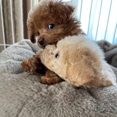 ig_nks's profile picture. 東海 法学 3年