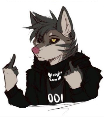 AshyWolfy's profile picture. The name is Ash, hi there! I'm hoping to become a Vtuber in the mere future. I’m also enlisting into the Navy next year. I don’t stream, but will in the future.