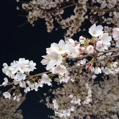 大好きなアーティストが沢山いるお気楽者。THE STREET SLIDERS、SION、HEAT WAVE、THE GROOVERSのライブは絶対に行きたくてパタパタして生きてます。ルールやマナーに疎く、失礼がありましたら御容赦ください。