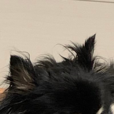 しいなさんのプロフィール画像