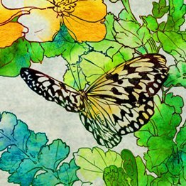 秘色さんのプロフィール画像