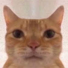 M2D4C's profile picture. 