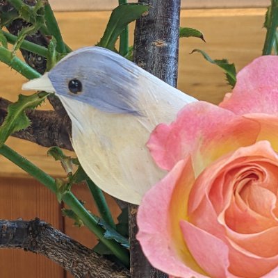 日本の自然、動物を愛しています。両親亡きあと千葉と信州の二拠点生活。信州の実家・畑・山林の再生に取り掛かり中。
政党・議員は愛国か売国で判断。参政党推しの反グローバリスト。無言フォローお許し下さい。※ ビジネス勧誘及びエロ垢フォローは全てブロック😾DMには返信しません。送って来たらブロックします。