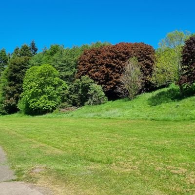 LeeCamp05375894's profile picture. Male, conspiracy theorist, Ufo's, truth finder. Here to find out how the government is going to screw us next