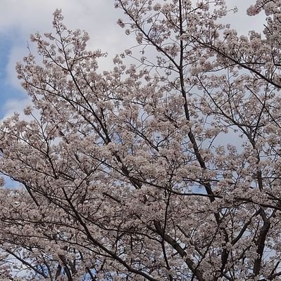 お取引メイン、その他もちょこちょこ呟きます。
とうの昔に成人済。
ツイ変更削除するまで掲載分は譲渡交換可能です。

推しのグッズでも希望数集まった場合、交換譲渡に出しております。
お取引詳細はツイフィのご確認お願い致します。
仕事の都合でご返信は基本夜になりますのでお急ぎの方はご留意下さい。