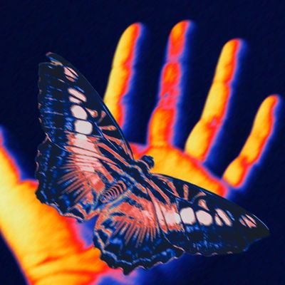 freddyhv's profile picture. Desarrollo de Operaciones Estratégicas