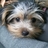 Profile Picture of John Yongsun Jun 전용선 (@@gazamy2) on Twitter