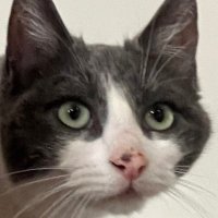 ClapzeyD4d (@clapzeyd4d) 's Twitter Profile