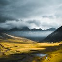 Gavin Parker - @GavinParke61493 - Twitter