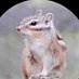 加茂市観光協会【新潟県】🐿 (@kamokankou) Twitter profile photo 加茂市観光協会【新潟県】🐿 (@kamokankou) Twitter profile photo