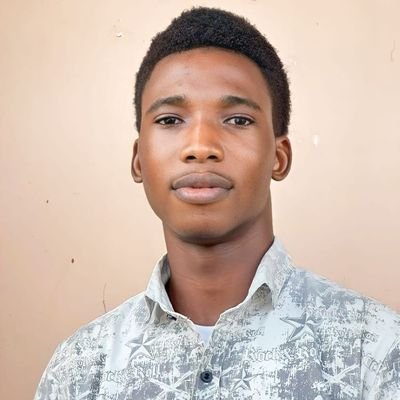 Academia| Research and Data Science Enthusiast| TeachMeRx SDG Volunteer| Dodan Campus Ambassador| Millennium Fellowship Member| CauX Scholar| FUTA Scholar.