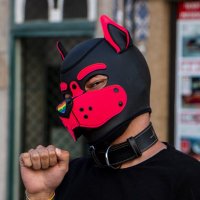 Keito (@pup_keito) 's Twitter Profile