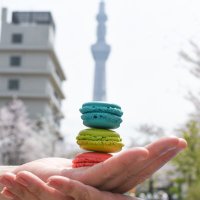 kokumi (@kumi_pandalove) 's Twitter Profile