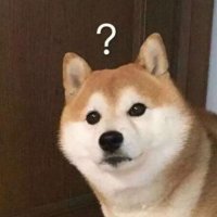 币圈老顽固 (@blockpos) 's Twitter Profile Photo