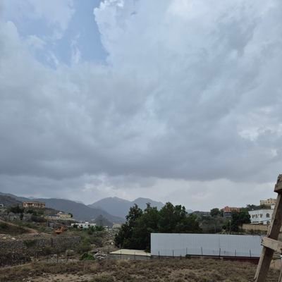 almalky_yh17803's profile picture. 