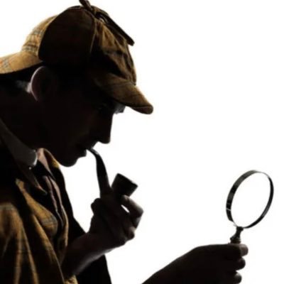 detective100x Profile Picture