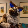 AzunoOwl's profile picture. Hiii, i am your friendly german eagle owl | 🇩🇪🇺🇲 | He/Him | Gay | 30y.o. | Certified Technician | DJ | Gamer | @P0Eproductions/CFStudios suiter