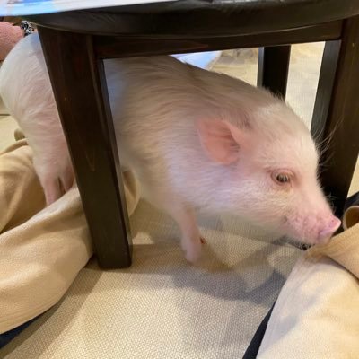 oneforall35's profile picture. 