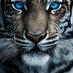 TIGER⚜ (@Steve_Tiger1) Twitter profile photo