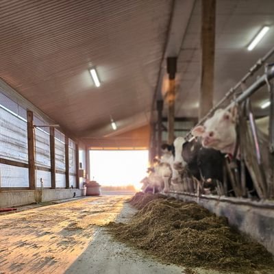 Dairy farmer, and proud father and husband! Farming in Southern Bruce County