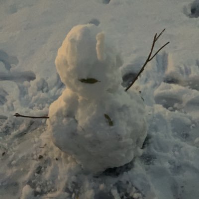 2crHPHT7lv68431's profile picture. 