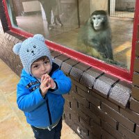 Nur İLHAN (@lhan3nur) Twitter profile photo