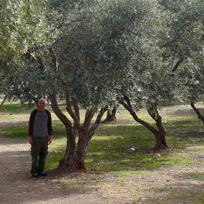 EricksonBradley's profile picture. Poète, Savant et Bon Vivant.