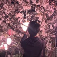 シバ (@aozora_syun) Twitter profile photo