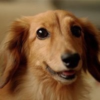 vwj4cseds's profile picture. 