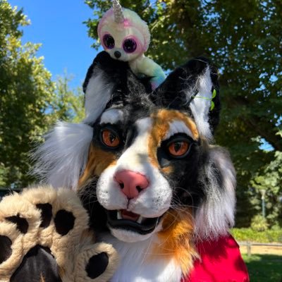 down under furry and proud owner of bonfire my calico cat fursuit made by @creative_beasts