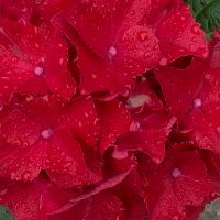 anja 💐 (@smit_anja) 's Twitter Profile